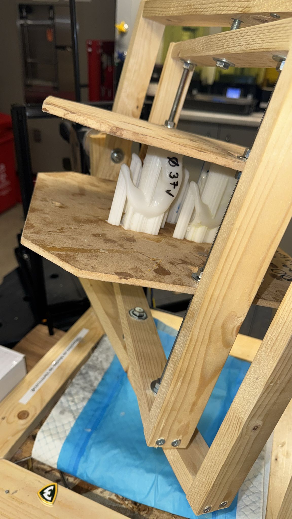 Research Photo 7