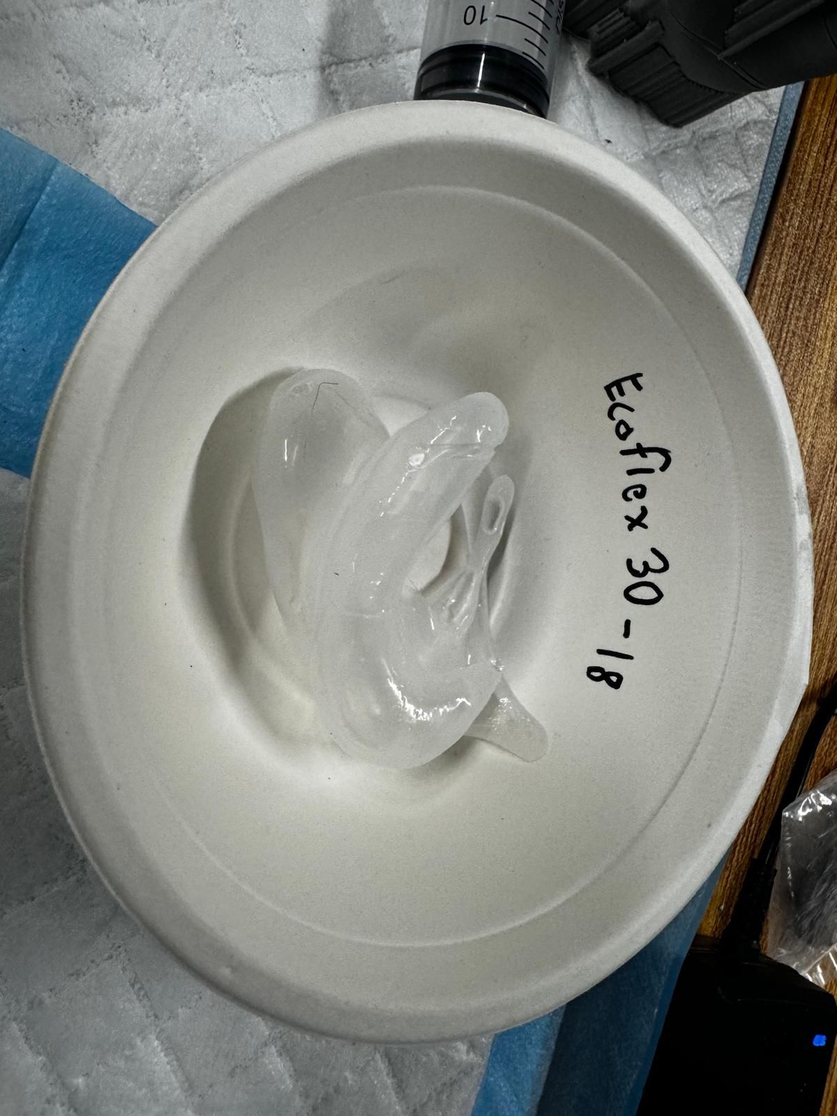 Research Photo 5